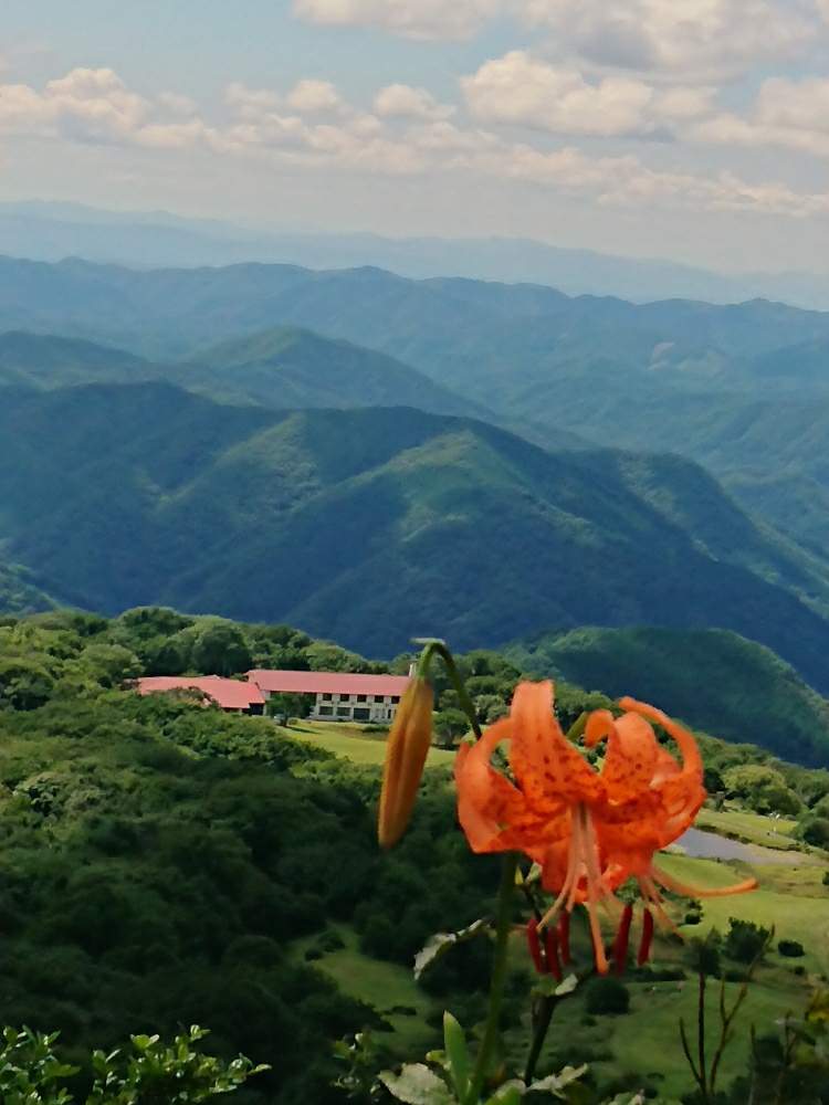 お出かけ先の画像 by 野バラさん | お出かけ先とコオニユリと山野草と山登りと登山道