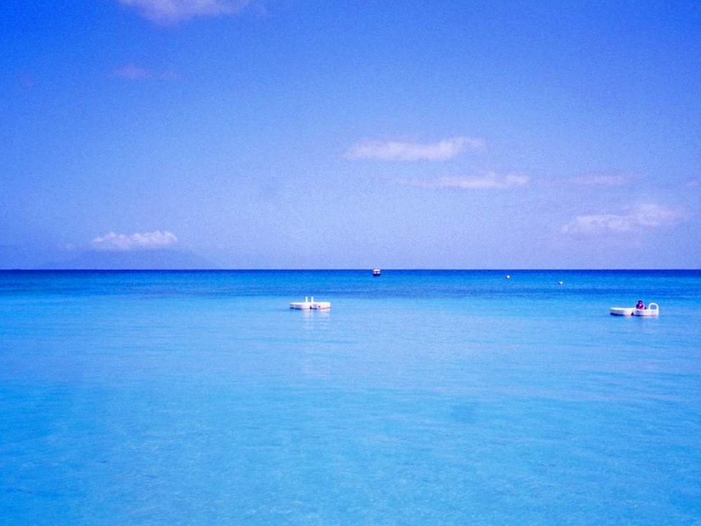 お出かけ先の画像 by toshi17さん | お出かけ先としあわせ色と涼しげとBlue WorldとSouthernResortと華やかとGS映えとHGWと癒される♪と爽やか~と元気色と綺麗と鮮やか とNEWチーム横浜とSUMMER