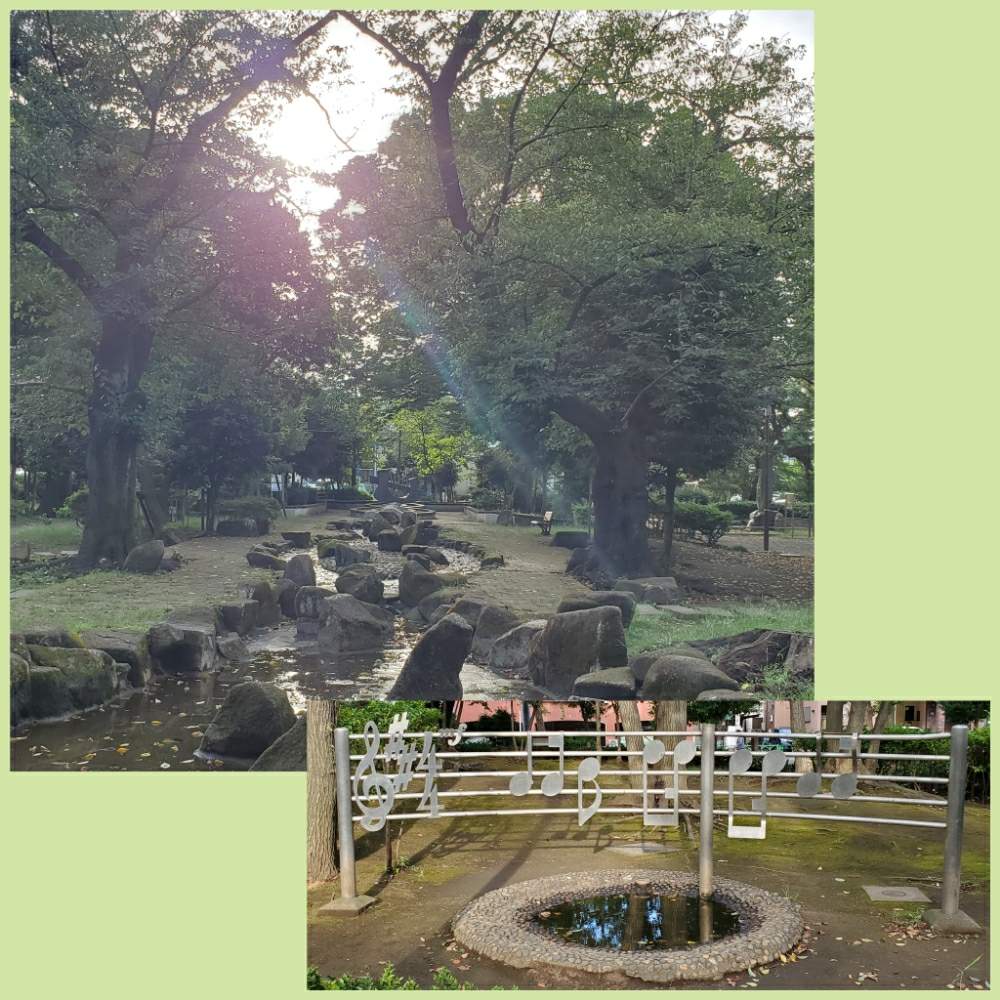 お出かけ先の画像 by わんころさん | お出かけ先とお散歩と公園内