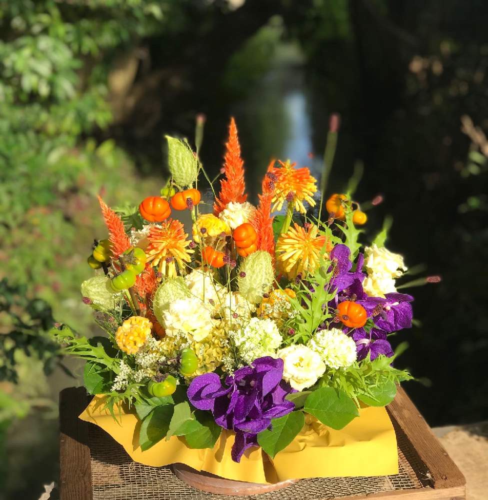小さな庭の画像 by 蔵の花屋コトハさん | 小さな庭とドライフラワーのある暮らしと東京都立川市とおうちを彩る花と生花と蔵の花屋と花屋とフラワーアレンジメントと花のある暮らしと立川と立川市砂川町
