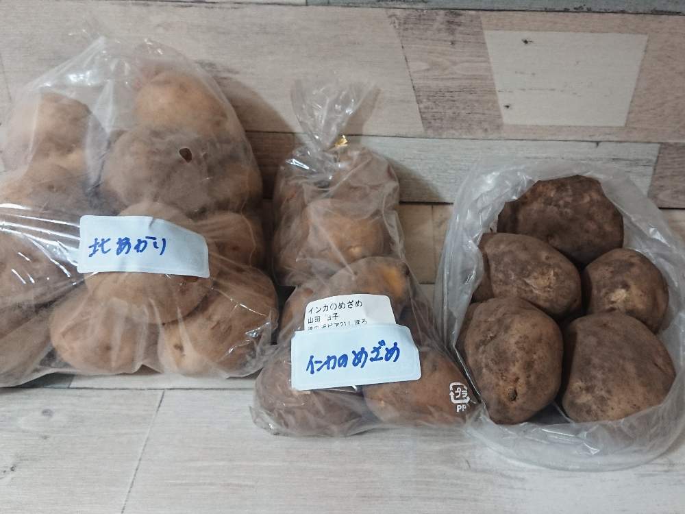 部屋の画像 by 45さん | 部屋とHTCとたにおたくらぶ No.132とバラと夢CLUBとHTC no,174と美味しい物と頂き物とたにおたくらぶ