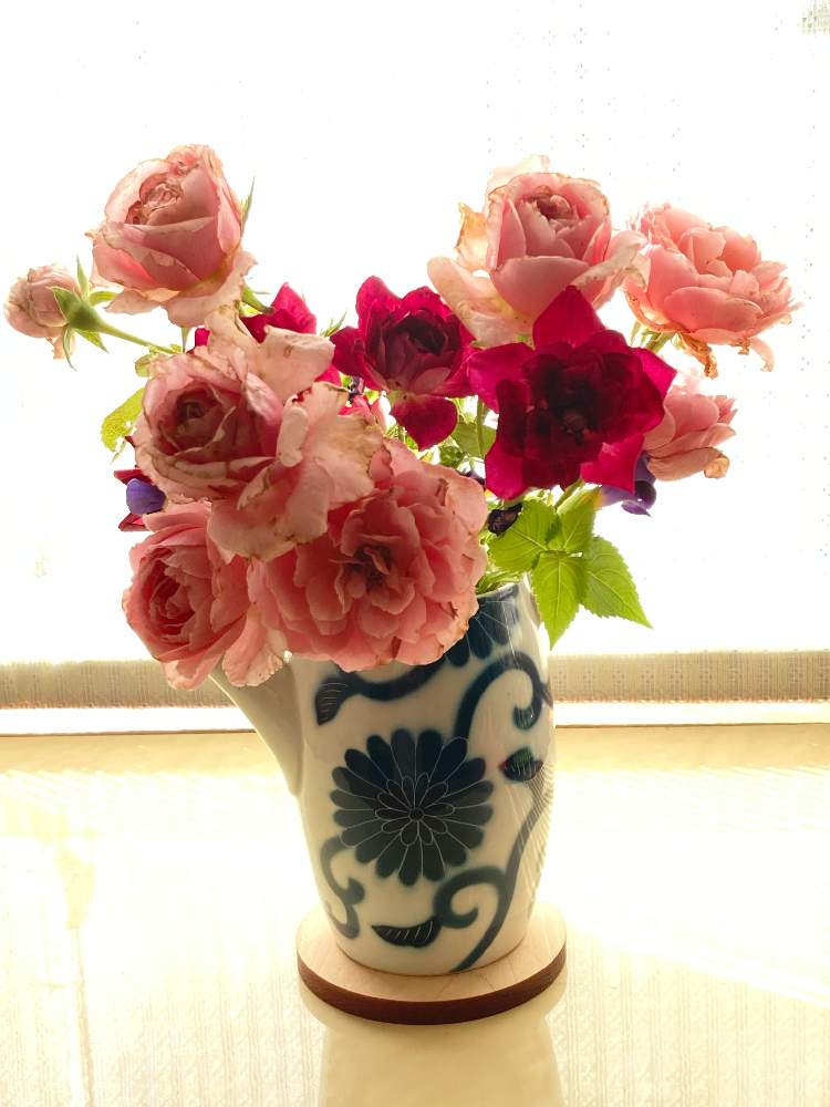 窓辺の画像 by まぁ!さん | 窓辺とトレニアとバラとなんちゃって生け花・アレンジと薔薇に魅せられてとおうち園芸とおうちを彩る花と花のある暮らしと素敵色