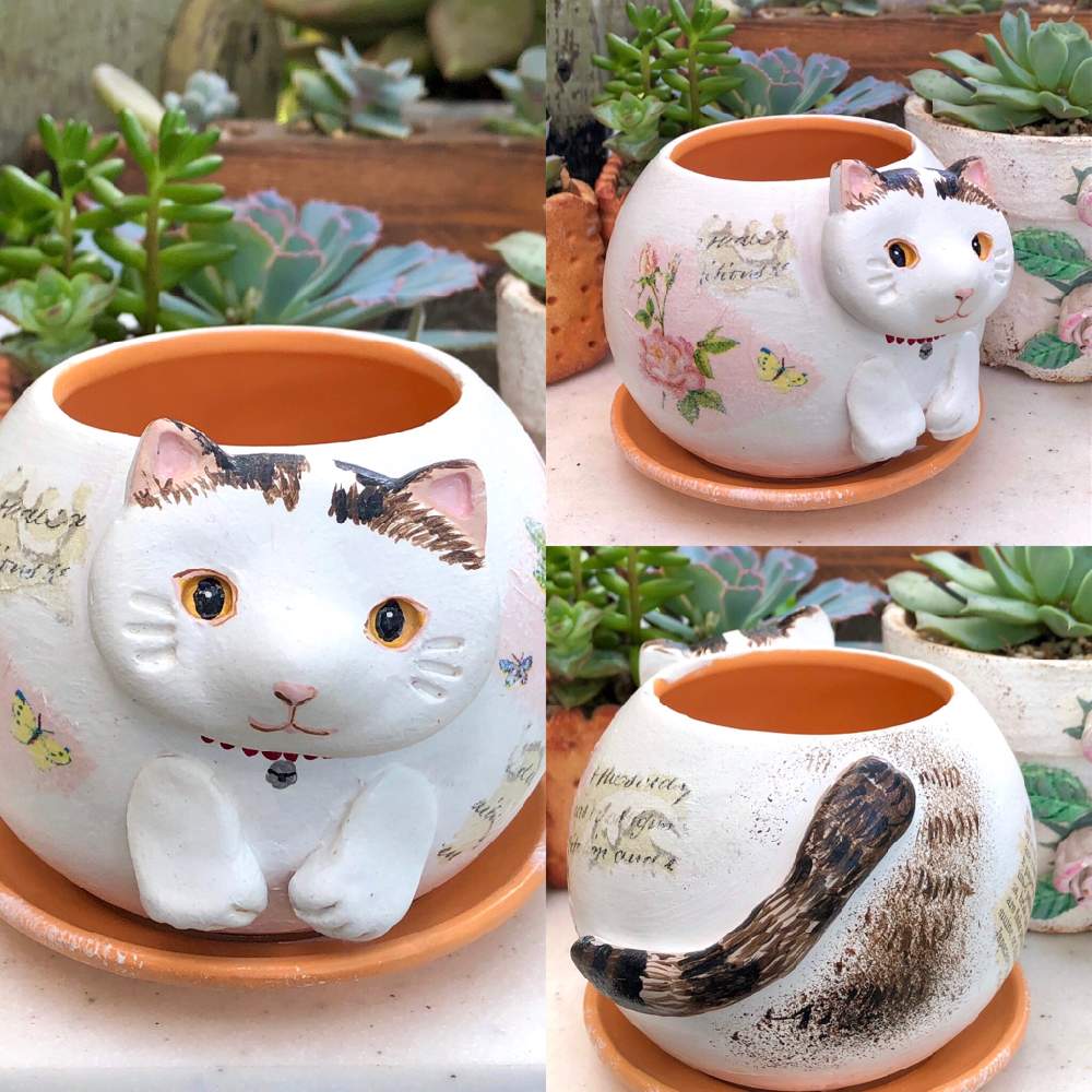 小さな庭の画像 by ねこぐるみさん | 小さな庭とマイ・コレクションとにゃんこ鉢と植中毒と今日の一枚と素敵鉢とタニラーと多肉棚とアウトドアリビングとリメイク鉢