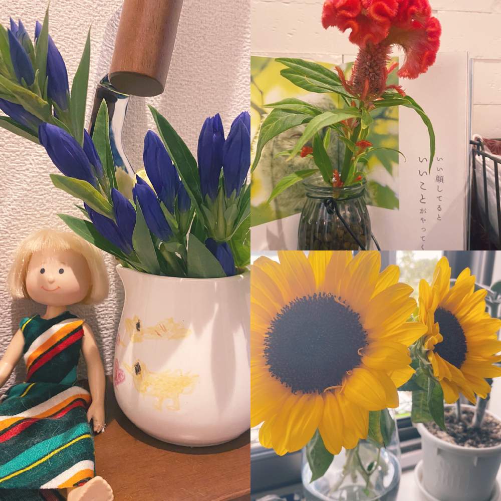 部屋の画像 by タタミさん | 部屋と観葉植物と手作りオイルとおうちde菜園と100均エアープランツとおうち園芸と百均の鉢と水耕栽培と多肉女子とハーブとウンベラータ成長記録とテーブルフラワーとGreenSnapmarcheと ウンベラータとフラワーアレンジメントと花のある暮らしと家庭菜園奮闘日記と エディブルフラワーと日向ぼっことGREEN UP!と百均の観葉植物