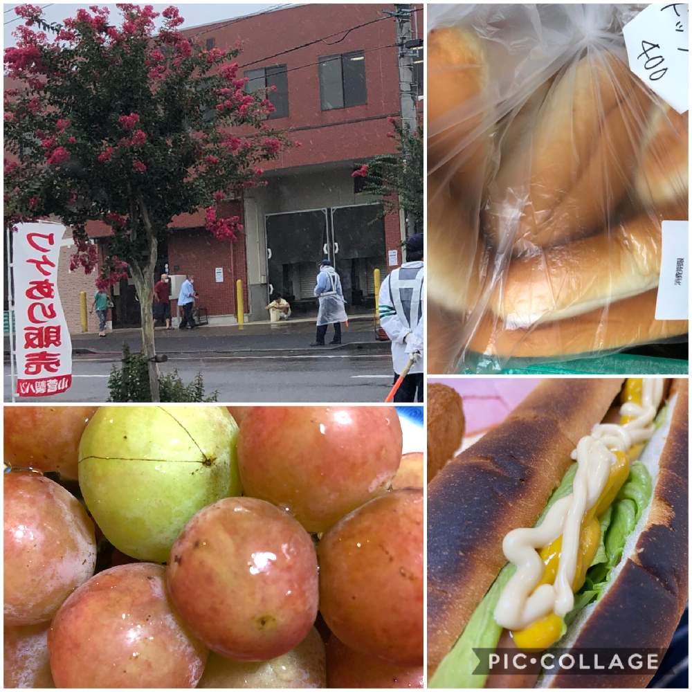 の画像 by かげさゆさん | サルスベリと安芸クイーンと果物と仕送りと懐かしの味