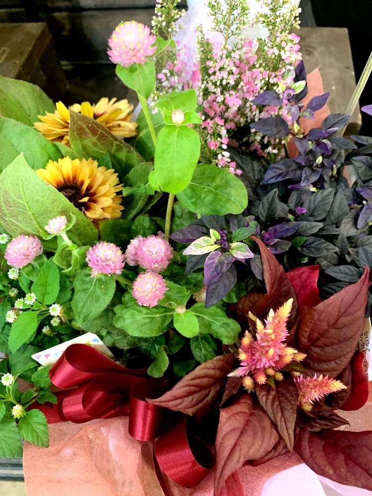 お出かけ先の画像 by EMIさん | お出かけ先と薄紫色のお花とお花屋さんの店先で。と薄いピンクの花と花のある暮らしと朱色の花と黄色いお花とiPhone撮影と感謝を込めて