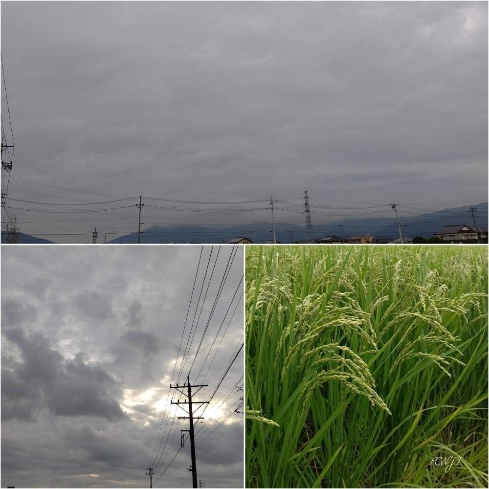 の画像 by PONJIさん | れんげハツシモとMyアルバムとイマソラとお気に入りと熊本県の皆さんにエールを♪と新型コロナウィルスに負けるなとチーム岐阜とコロナに負けるな!といまそらと下呂市の皆さんにエールを♪と九州の皆さんにエールを♪と花のある暮らしと被災地にエールを…。とGSアダルトチーム
