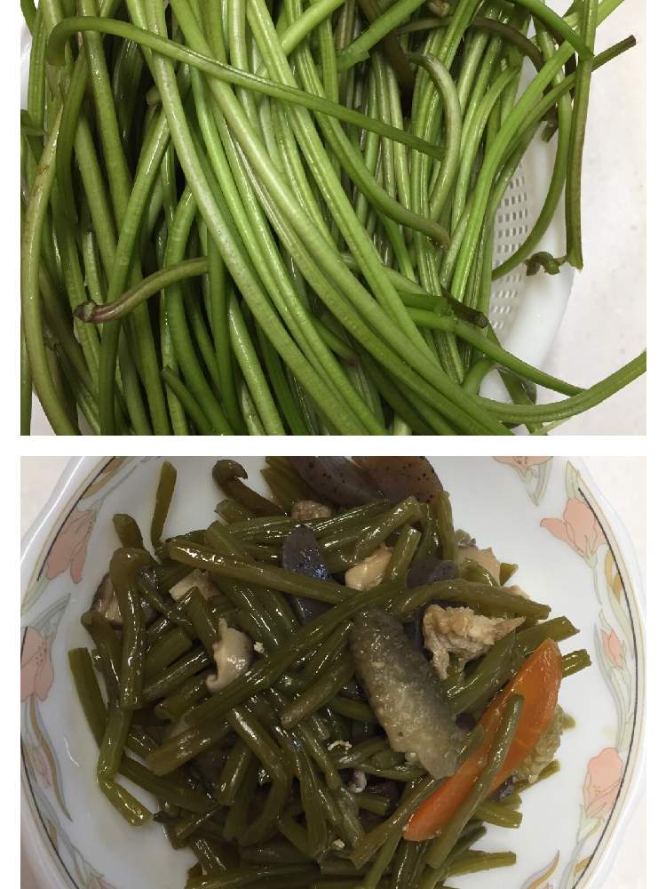 の画像 by チー坊さん | 家庭菜園とおうちde菜園とさつまいも♡とさつまいも料理♡