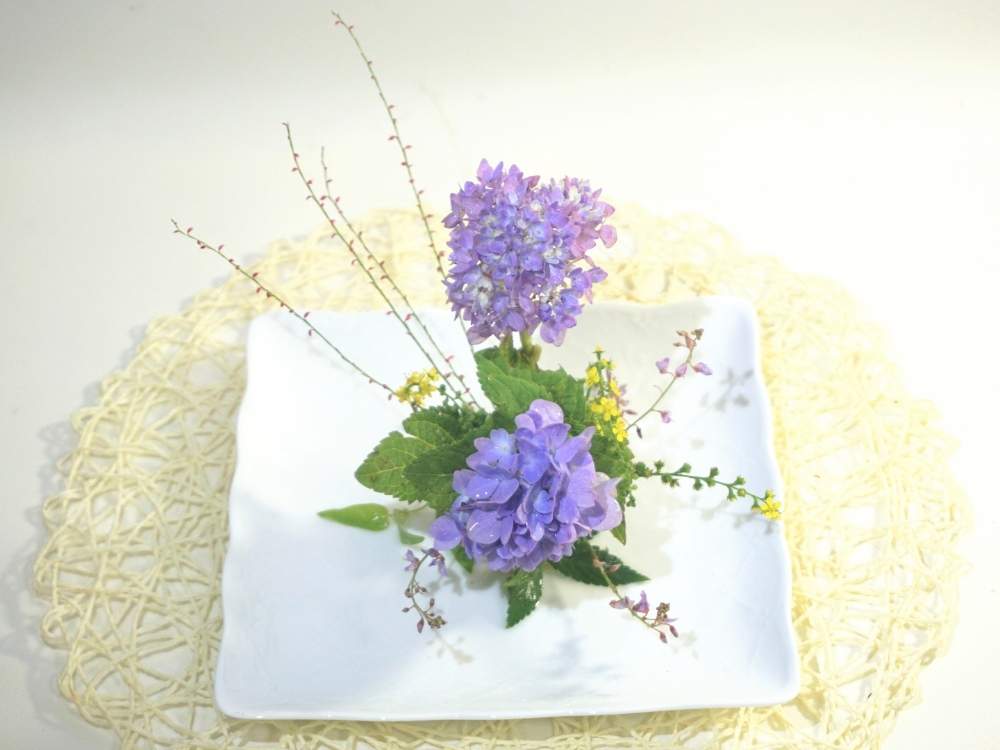 部屋の画像 by 野ニンさん | 部屋と令和最初の植物と出版とタイトルとGS映えとおうちを彩る花とGreenSnapmarcheと花のある暮らし