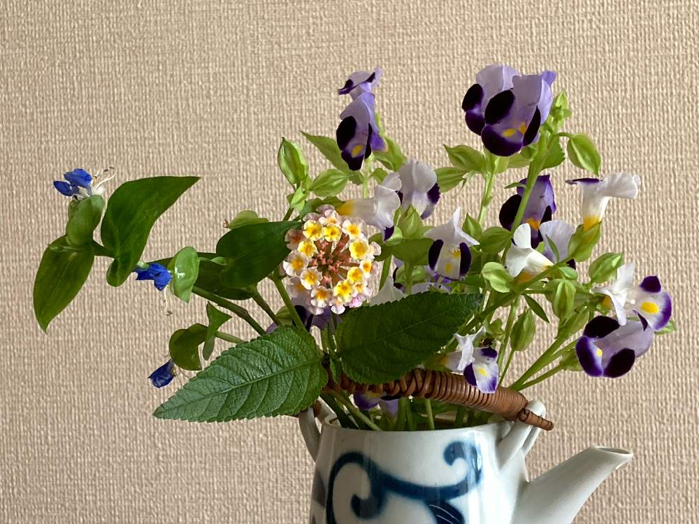 部屋の画像 by まぁ!さん | 部屋とツユクサとトレニアとランタナとなんちゃって生け花・アレンジとおうち園芸とおうちを彩る花と花のある暮らしと素敵色