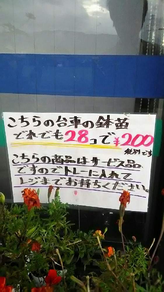 小さな庭の画像 by はげカッパさん | 小さな庭とおうち園芸とチーム岐阜