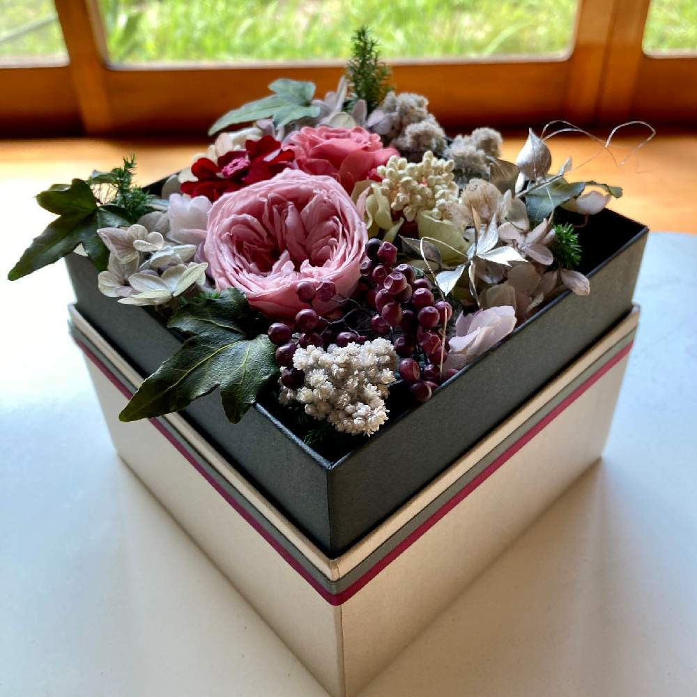 の画像 by 河野自然園さん | 多肉植物とプリザーブドフラワー薔薇とネットショップと神奈川とプレゼントとGS映えと横浜とプリザーブド フラワーとレッスンと可愛いと球根屋さんドットコムとアレンジメントと河野自然園