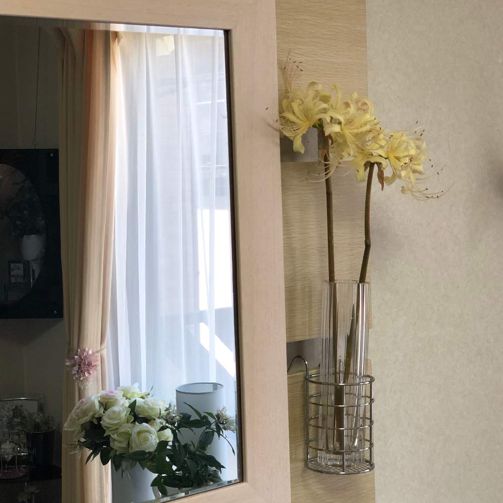 インテリアの画像 by Grace Placeさん | インテリアとシロバナマンジュシャゲ(白花曼殊沙華)と花言葉と花のある暮らしと誕生花とGS映え