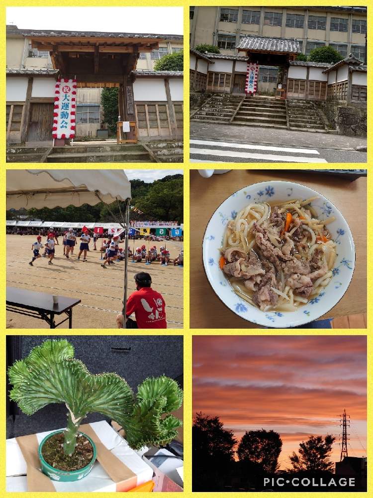 お出かけ先の画像 by 天空のバラの五線譜さん | お出かけ先と散歩と運動会と多肉植物♡と幸せな日