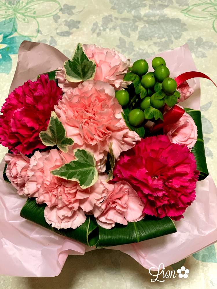 部屋の画像 by ライオンさん | 部屋とみどりのある暮らしとわくわく♡とおうち園芸と素敵な色合いと小さな楽しみと花のある暮らし