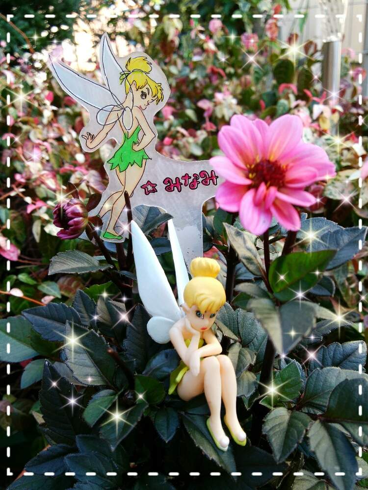 小さな庭の画像 by ☆みなみ☆さん | 小さな庭とプチダリア ハミングブロンズ エターニティと感動!と繋がりに感謝と今を乗切るぞ!と日々の暮らしの中の幸せと癒しをありがとうと発見とエンジェル祭りと大切にするよ♡と私の癒し系達♡とティンカー・ベル❤と今日の見~つけた!とたにおたくらぶとチーム愛知
