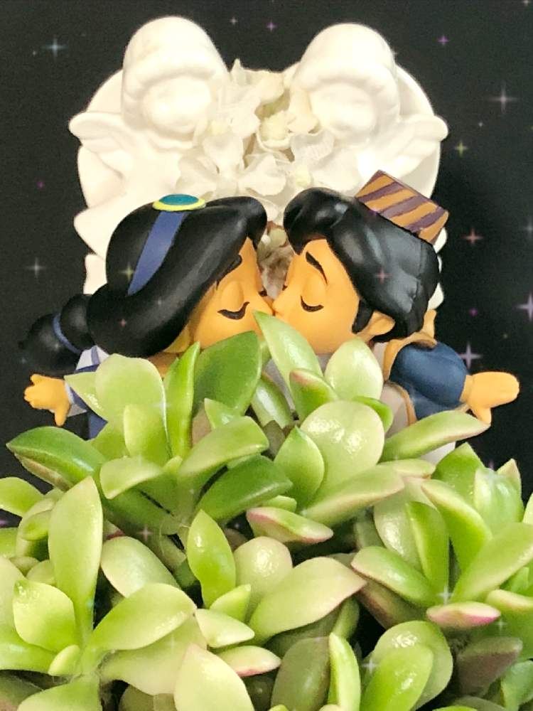 の画像 by ベルウェザーさん | 吹雪の松❣️とベルガーデンとディズニーワールドとエンジェル祭りと秋と言えば...