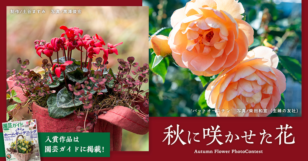 入賞作品は園芸ガイドに掲載！『秋に咲かせた花』フォトコンテスト