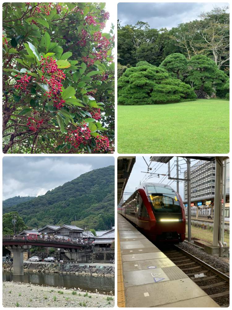 の画像 by anpunpunさん | マツとサンゴジュと伊勢神宮 内宮と五十鈴川と近鉄特急ひのとりとGS回文