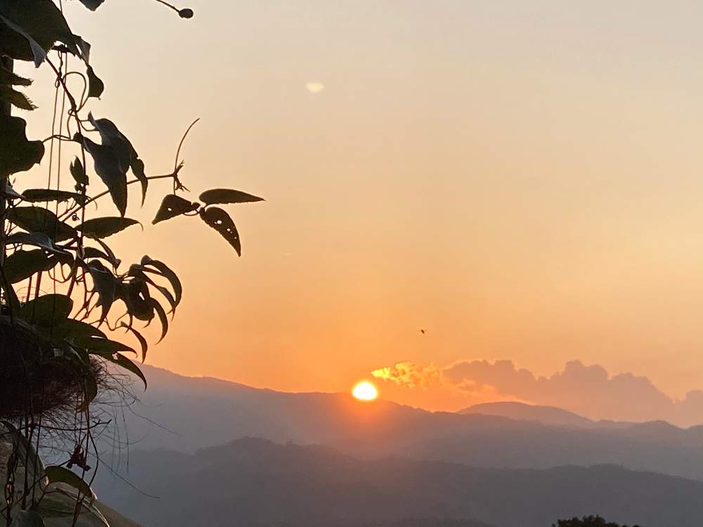 の画像 by のいまいさん | クレマチスと大室山⛰と鳥❓といつもありがとう❣️とコロナに負けるな‼️と写真中毒と植物万歳と散歩道