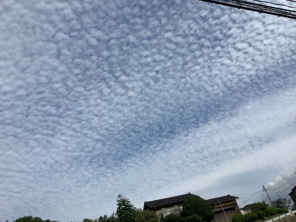 窓辺の画像 by まーさんさん | 窓辺と森のがっこうと森の天文館❗️と森の負けないぞ❗️とチーム石川