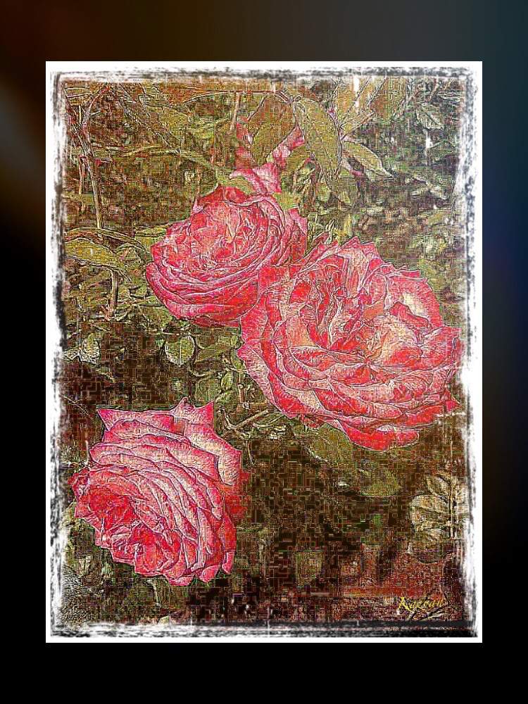 部屋の画像 by Kazyanさん | 部屋とCarpe Diem! 和堂とバラ・薔薇・rose 和堂とKazyan's Artistic correction 和堂と薔薇シリーズ 和堂と薔薇の花と薔薇の花シリーズ 和堂と宮崎市清武町と薔薇の花を楽しむ 和堂