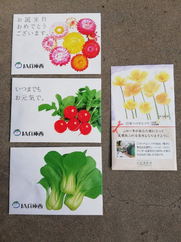 デスクの画像 by ワイルドガーデンさん | デスクとおうちde菜園と秋冬野菜と花のある暮らしと家庭菜園奮闘日記とあつまれ野菜の森