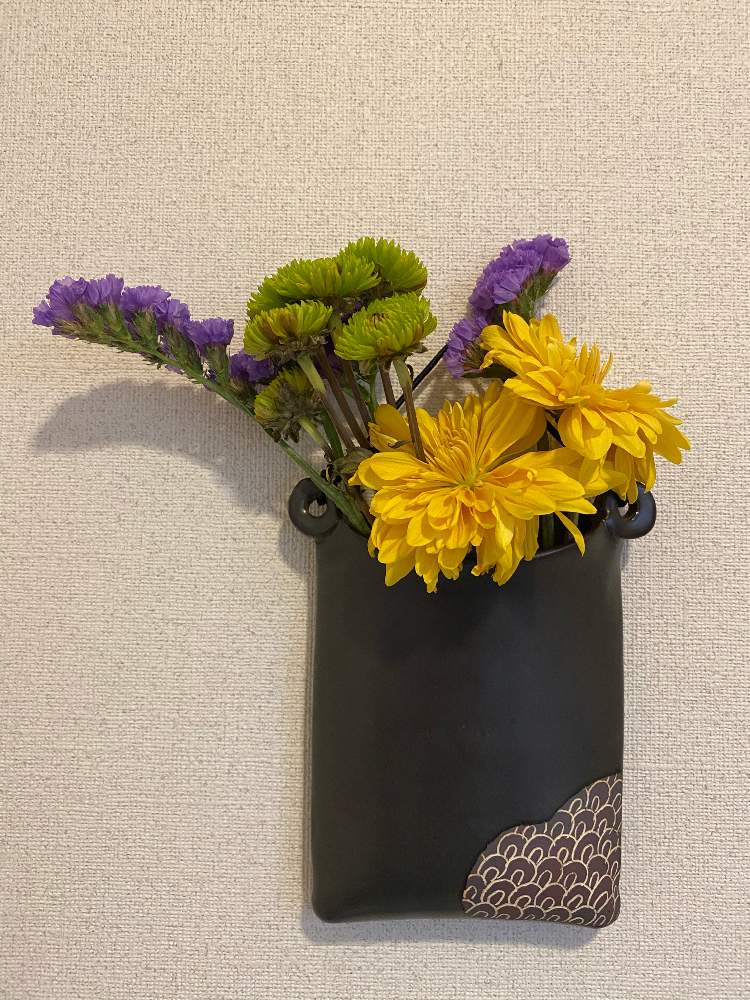 バス/トイレの画像 by ミホポコさん | バス/トイレとドライフラワーと花と観葉植物とおうちde菜園とおうち園芸とおうちを彩る花とガーデニング初心者と多肉初心者