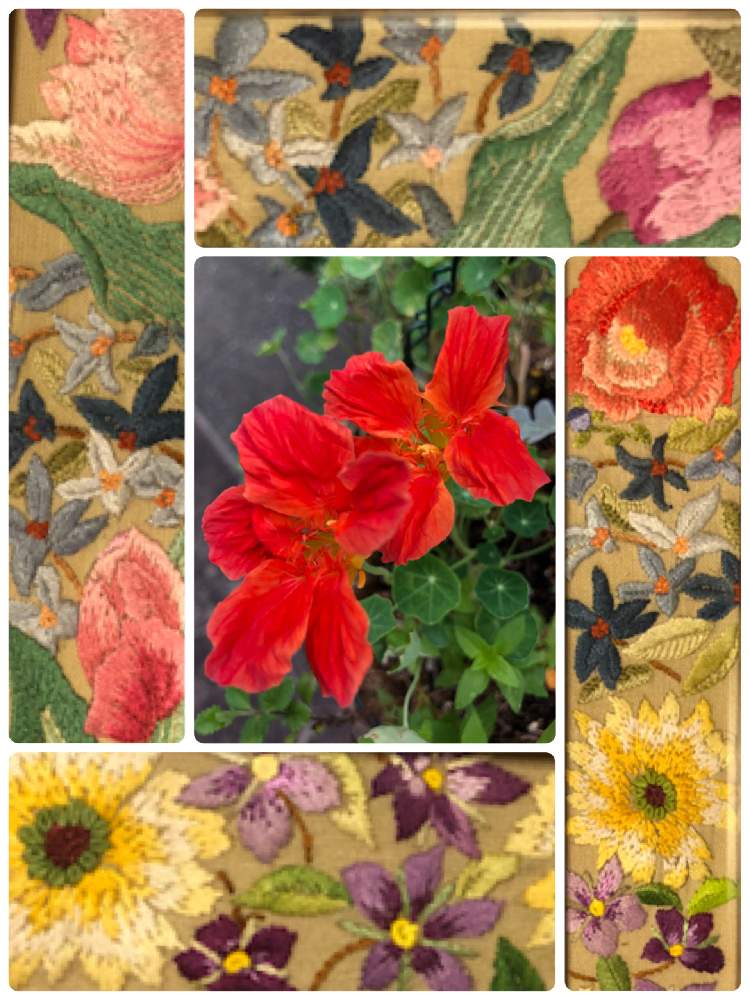 小さな庭の画像 by love4gardenさん | 小さな庭と花の刺繍と庭の花とおうち園芸と刺繍と花のある暮らしとGSアダルトチームとGREEN UP!と花が好きとDIYとリメイクとナスタチューム♡と引き出しリメイクで種や球根入れ作成