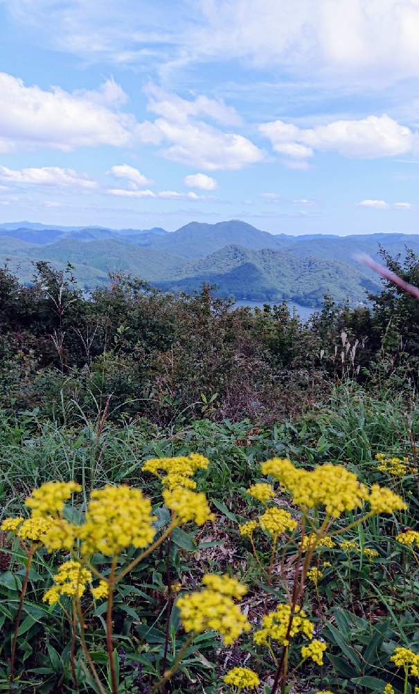 お出かけ先の画像 by 野バラさん | お出かけ先とオミナエシと山野草と山登り
