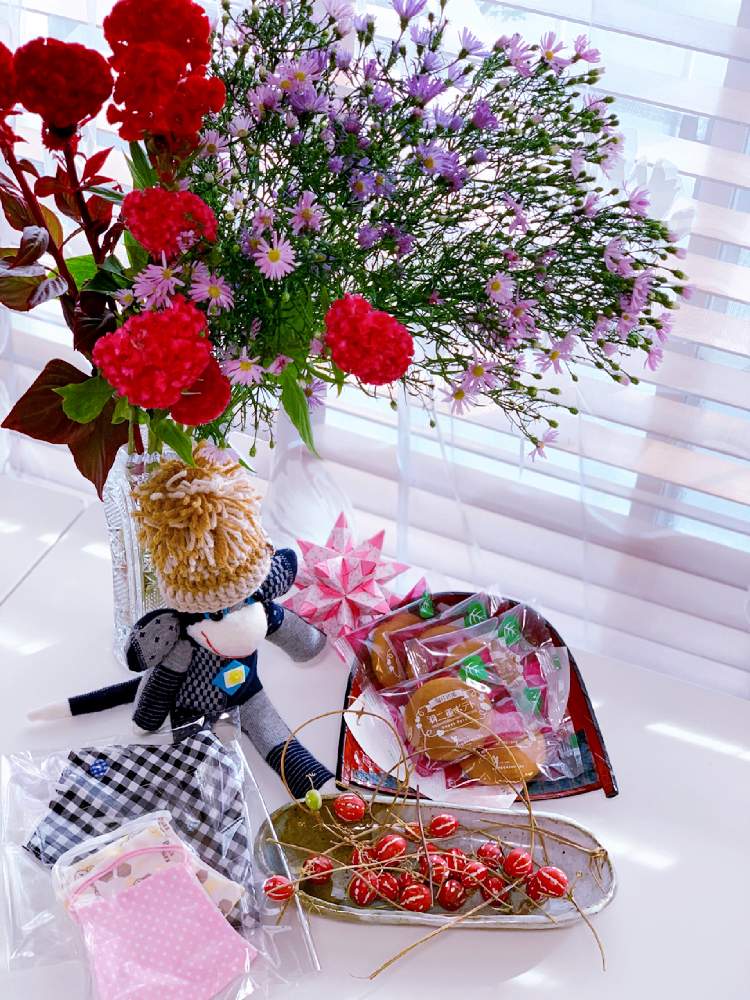 窓辺の画像 by EMIさん | 窓辺と赤い実とiPhone撮影と薄紫色のお花とケイトウのお花と紫色の花と赤い花とそくもん♡と孔雀草*とミニけいとうと沖縄スズメウリ*と手作りマスクとソクモン祭りとケイトウ✿と花のある暮らしと折り紙