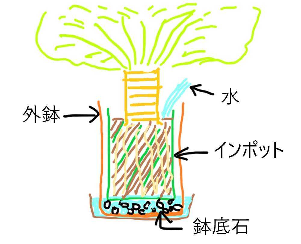 部屋の画像 by 白マジュさん | 部屋とタカワラビとゴールデンモンキーとキンモウコウと根っ子と木生シダと観葉植物と水やりと園芸用品と植え替えとこだわりとポットインポットと植木鉢とインテリアグリーン