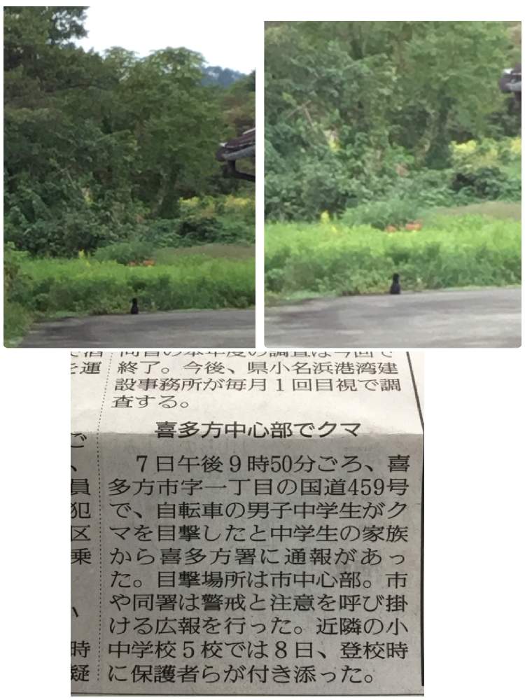 の画像 by ほとちんさん | 日常