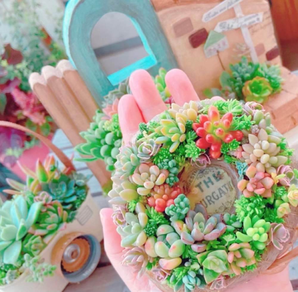 バルコニー/ベランダの画像 by ショーンさん | バルコニー/ベランダと多肉植物とHTCと癒やしと茶こしリースと紅葉する多肉とくるみさんと多肉植物寄せ植えと花の15年組とベランダガーデンとGSミニモニ。と多肉女子と可愛い〜♡とチーム福岡とちまちま寄せ