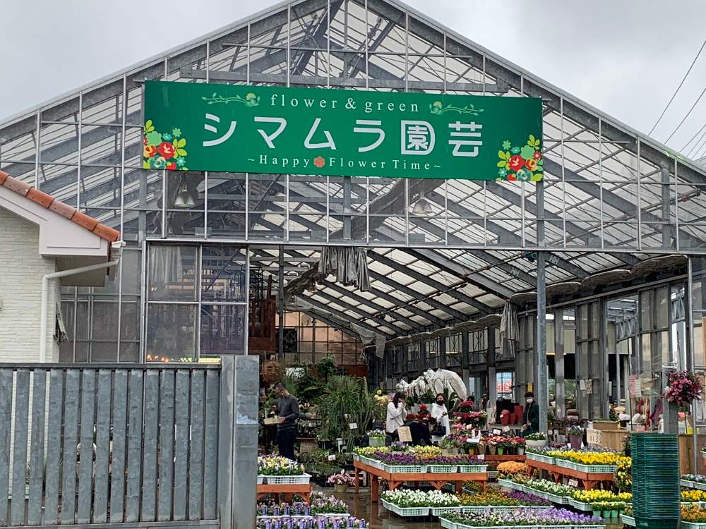 お出かけ先の画像 by lovely rose***さん | お出かけ先と多肉植物と素敵なお店とまた行きたい所✨と多肉ちゃんと愉快な仲間たちと多肉のある暮らしと多肉生活とシマムラ園芸さん