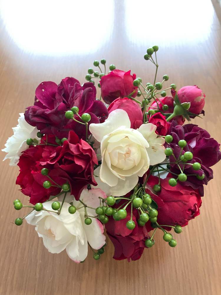 部屋の画像 by まぁ!さん | 部屋とバラとマンリョウと薔薇に魅せられてとおうち園芸と花のある暮らしと素敵色と秋に咲かせた花-園芸ガイド2020となんちゃって生け花・アレンジ