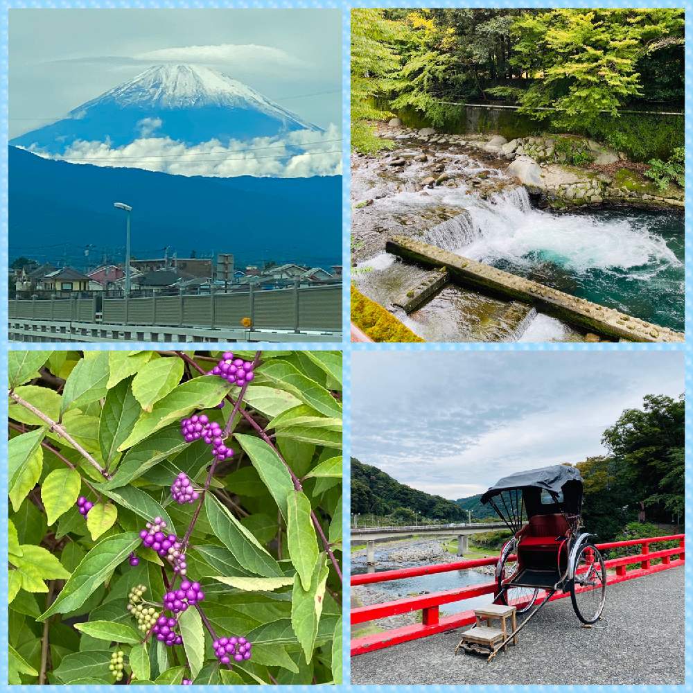 お出かけ先の画像 by らりるん♪さん | お出かけ先とコムラサキと 富士山と箱根と富士山と河原と日帰り温泉と多肉女子と箱根湯本