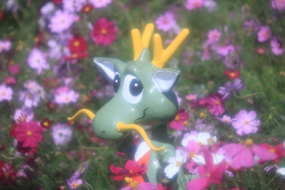 の画像 by ロベカル3さん | コスモスとピンクの花と花のある風景とお花畑 と赤い花と国営讃岐まんのう公園と白い花