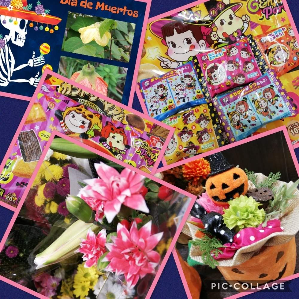 お出かけ先の画像 by リリーさん | お出かけ先とハロウィン祭りとおはよう!とハロウィン月間と優しい花と花のある暮らし
