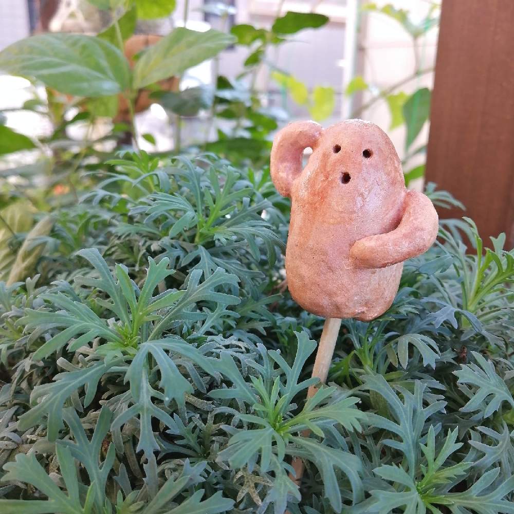 バルコニー/ベランダの画像 by みちゃさん | バルコニー/ベランダとマーガレットストロベリーホイップとマーガレット ストロベリーホイップと多肉植物とガーデン雑貨とたにくと多肉大好きとハンドメイド作品と多肉植物が好きな人と繋がりたいと多肉が好き♡とたにくにくにくと埴輪と多肉好きと埴輪雑貨とハンドメイドとお花と多肉多肉多肉多肉多肉‼とガーデンピックと多肉植物好きとハンドメイド雑貨と多肉多肉多肉と埴輪ピックとみちゃの埴輪