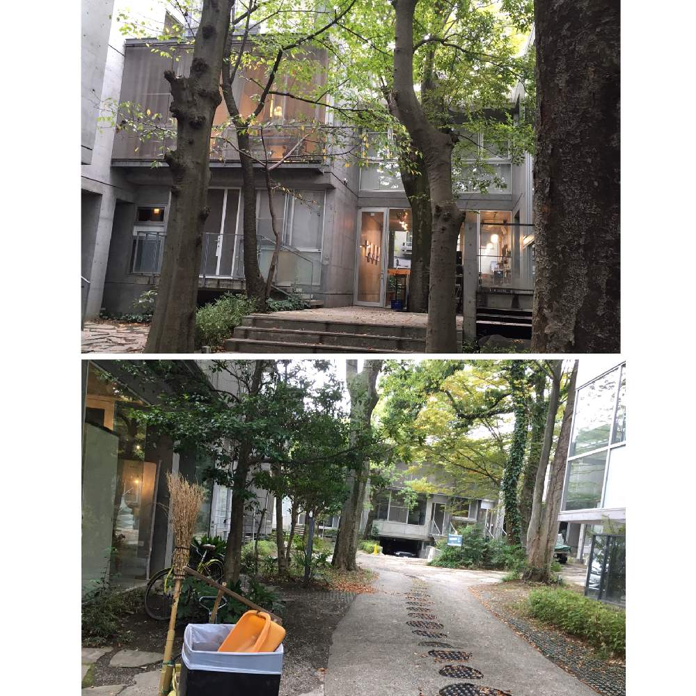 お出かけ先の画像 by なつめ* .。.さん | お出かけ先とケヤキとシイノキかな?と都会の緑とボタニカルと東京と美味しいと落ち葉掃除とお店と森林浴とマイナスイオン