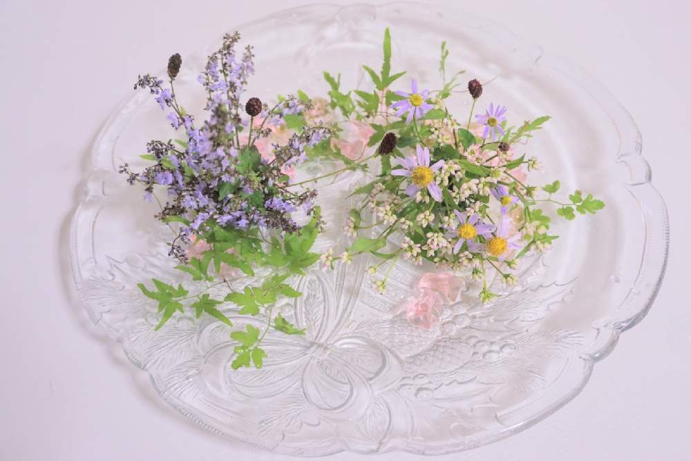 部屋の画像 by 野ニンさん | 部屋と令和最初の植物と出版とタイトルとGS映えとGreenSnapmarcheと花のある暮らしとGREEN UP!