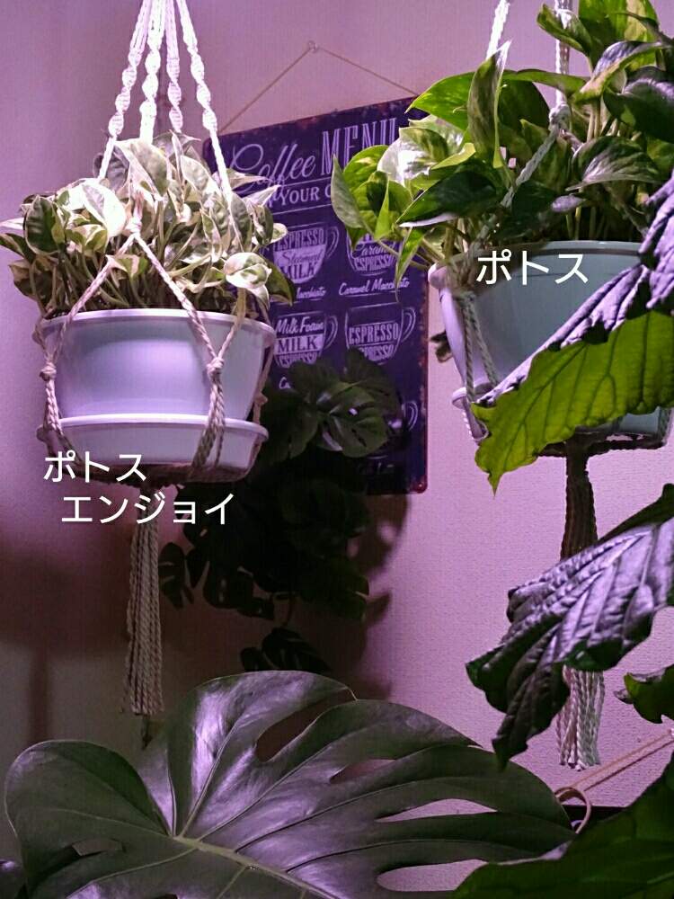 部屋の画像 by ヒロ♡0179さん | 部屋