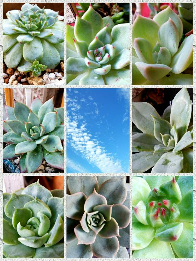 キッチンの画像 by ☆みなみ☆さん | キッチンと発見と大切にするよ♡と私の癒し系達♡と今日の見~つけた!とたにおたくらぶとチーム愛知
