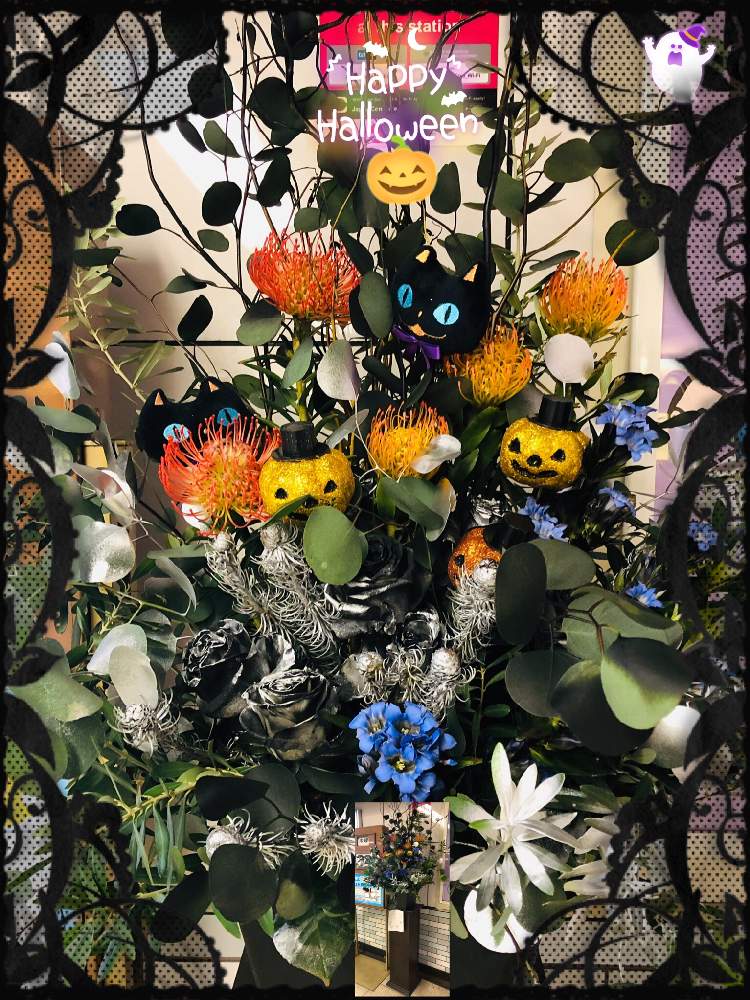 の画像 by hirarinさん | ピンクッションと駅構内のお花シリーズとハロウィン月間