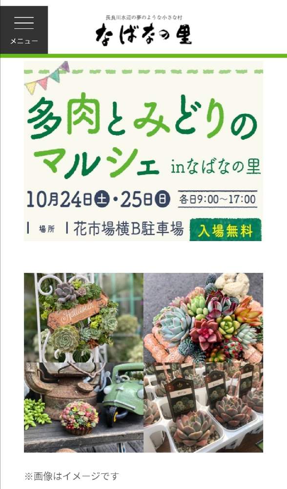 お出かけ先の画像 by みちゃさん | お出かけ先と花と緑のある暮らしと多肉植物が好きな人と繋がりたいと多肉とみどりのマルシェと多肉が好き♡とたにくにくにくと多肉好きと花と緑が好きと多肉多肉多肉多肉多肉‼と多肉植物好きと多肉多肉多肉と多肉とみどりのマルシェ なばなの里
