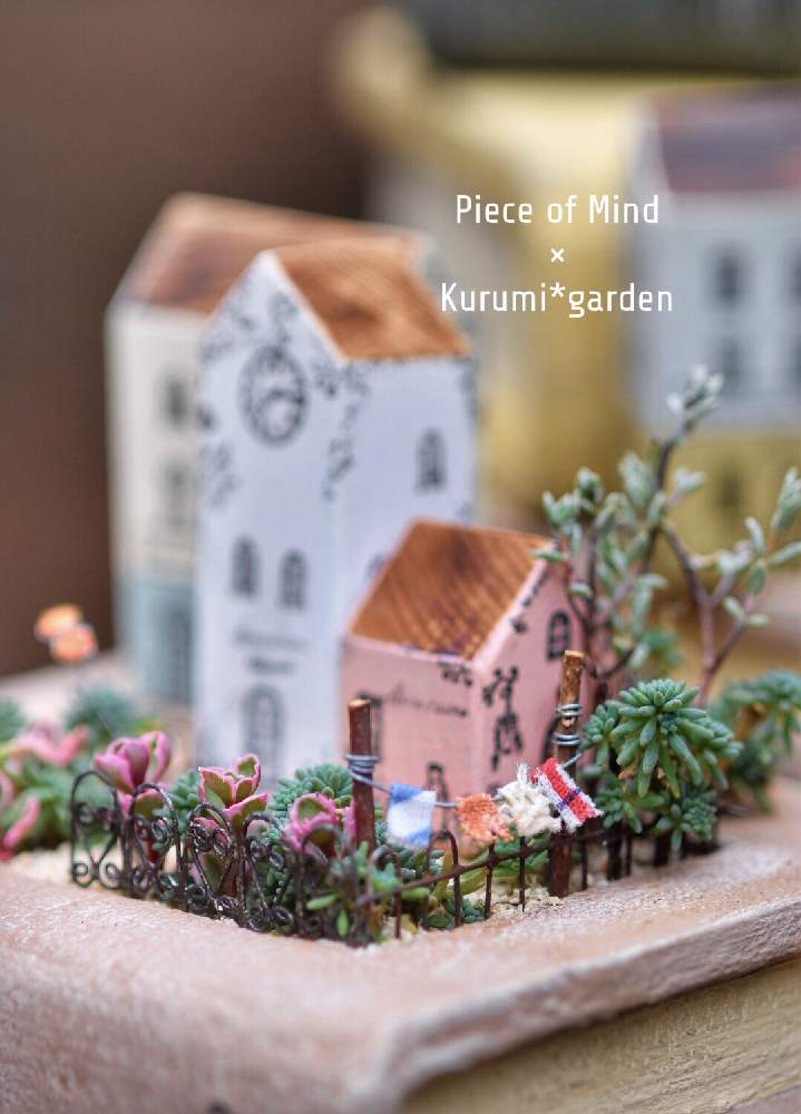 お出かけ先の画像 by くるみ*さん | お出かけ先とセダム寄せと多肉植物の寄植えと多肉植物 寄せ植えと箱庭と箱庭 多肉植物とモルタルbookとミニチュアガーデンとくるみガーデンの物語とピースオブマインドと箱庭の世界と洗濯物のゆれる箱庭とお誘いとミニチュアと横浜と多肉植物寄せ植えと多肉植物のある暮らしと小さな世界の物語と個展とくるみガーデンとbook形鉢とくるみがーでんと書斎とPiece of MindとKurumi*gardenと作品展とミニミニハウス