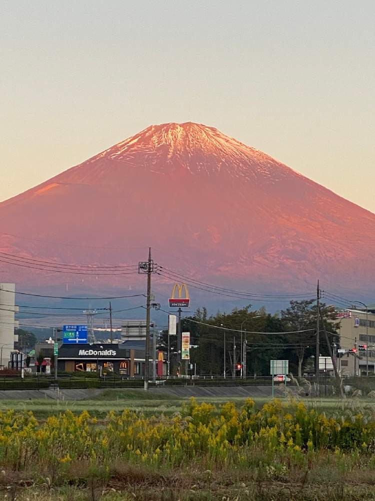 の画像 by のいまいさん | 富士山!とセイタカアワダチソウとブタクサと写真中毒といつもありがとう❣️と友人からの写真とコロナに負けるな‼️と感謝❤️