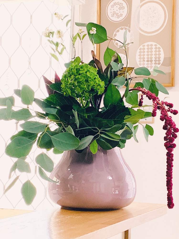 キッチンの画像 by Flower✴︎さん | キッチンとグリーン紫陽花と素敵なお出迎え♡と華やかとGS映えと紫陽花 アジサイ あじさいとグッドアングル♡とケイトウ✿と花のある暮らしとかわいいと元気✨と素敵インテリア♡とユーカリ ポポラス❤︎と癒し♡とグリーンと可愛い♡