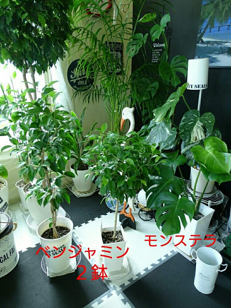 部屋の画像 by ヒロ♡0179さん | 部屋